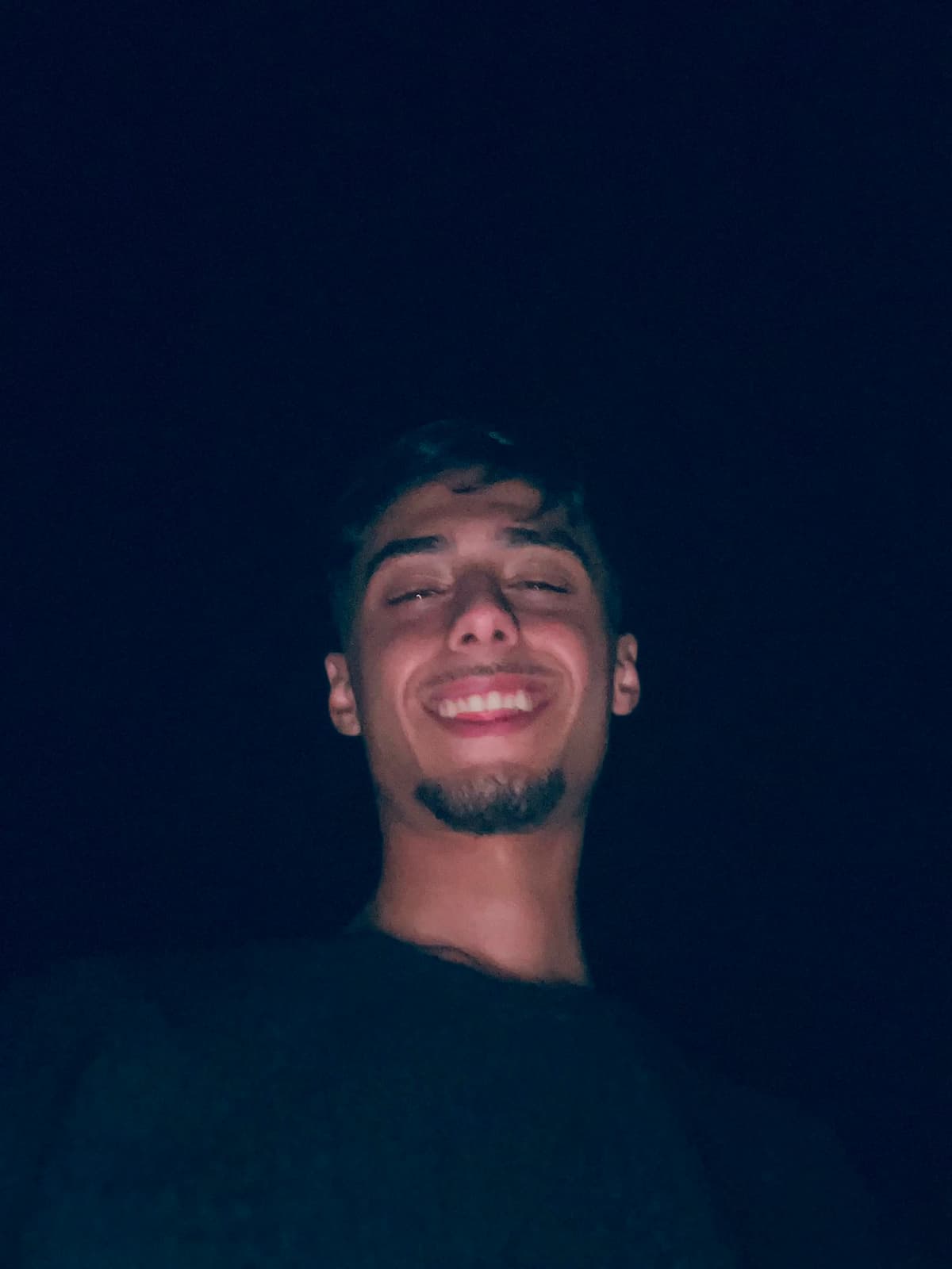 Fedy filelu